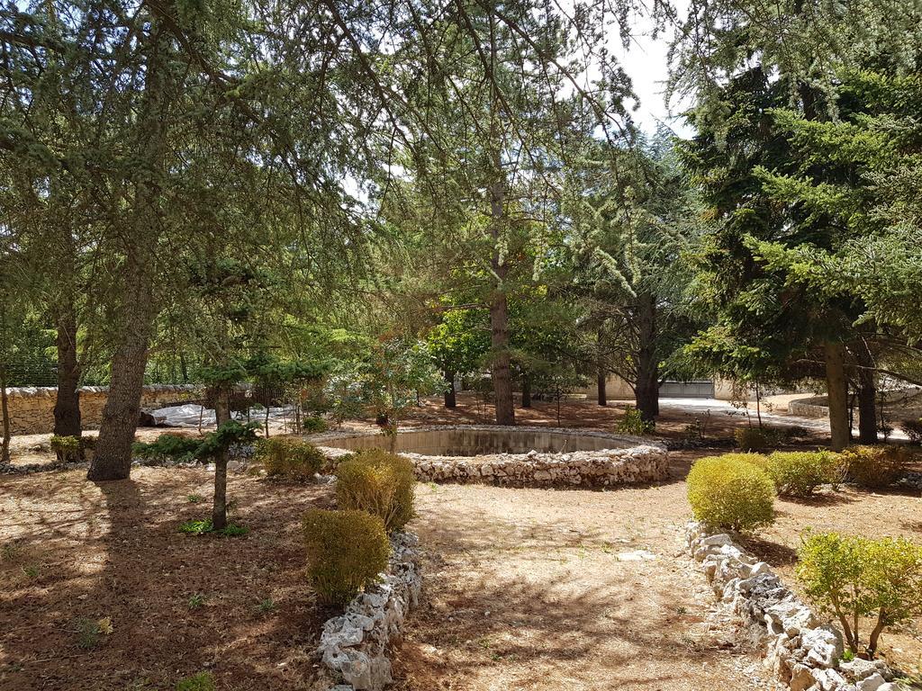 Villa Venus Woods Мартина-Франка Экстерьер фото